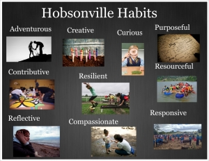 Hobsonville habits