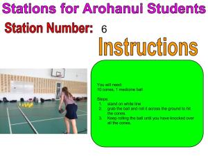 Week 3 Stations For Arohanui Students